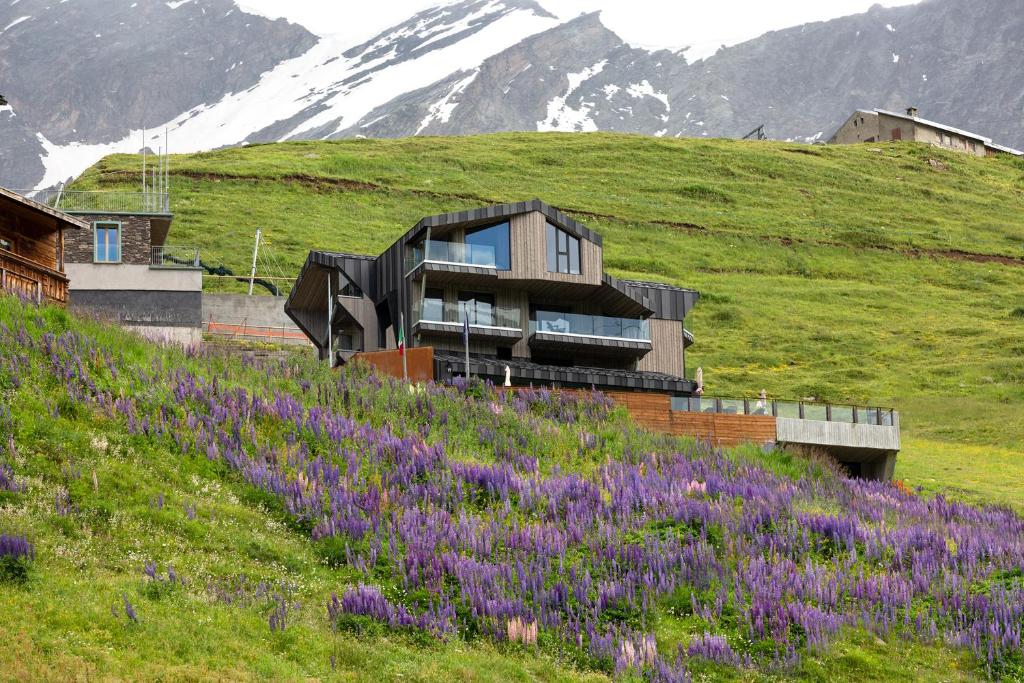 Bergman Mountain Hotel (Breuil-Cervinia) 