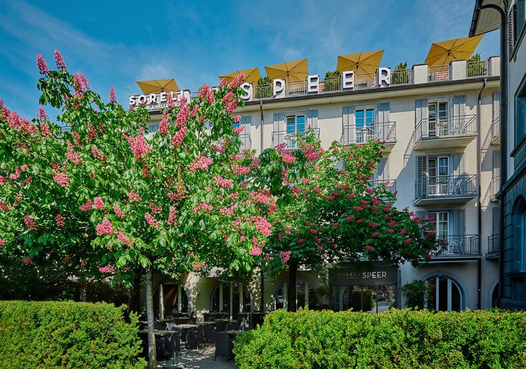 Sorell Hotel Speer (Rapperswil-Jona) 